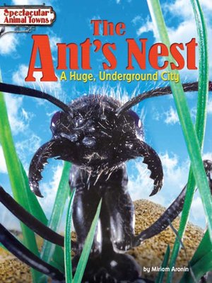 cover image of The Ant's Nest